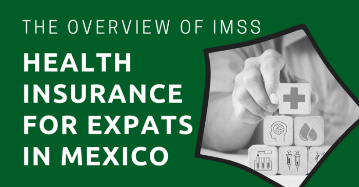 public-health-insurance-for-expats-in-mexico