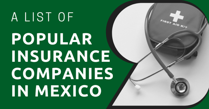 best-local-and-international-insurance-companies-in-mexico