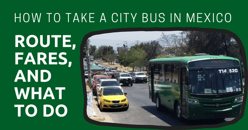 How to Take a City Bus in Mexico: Route, Fares, and What to Do